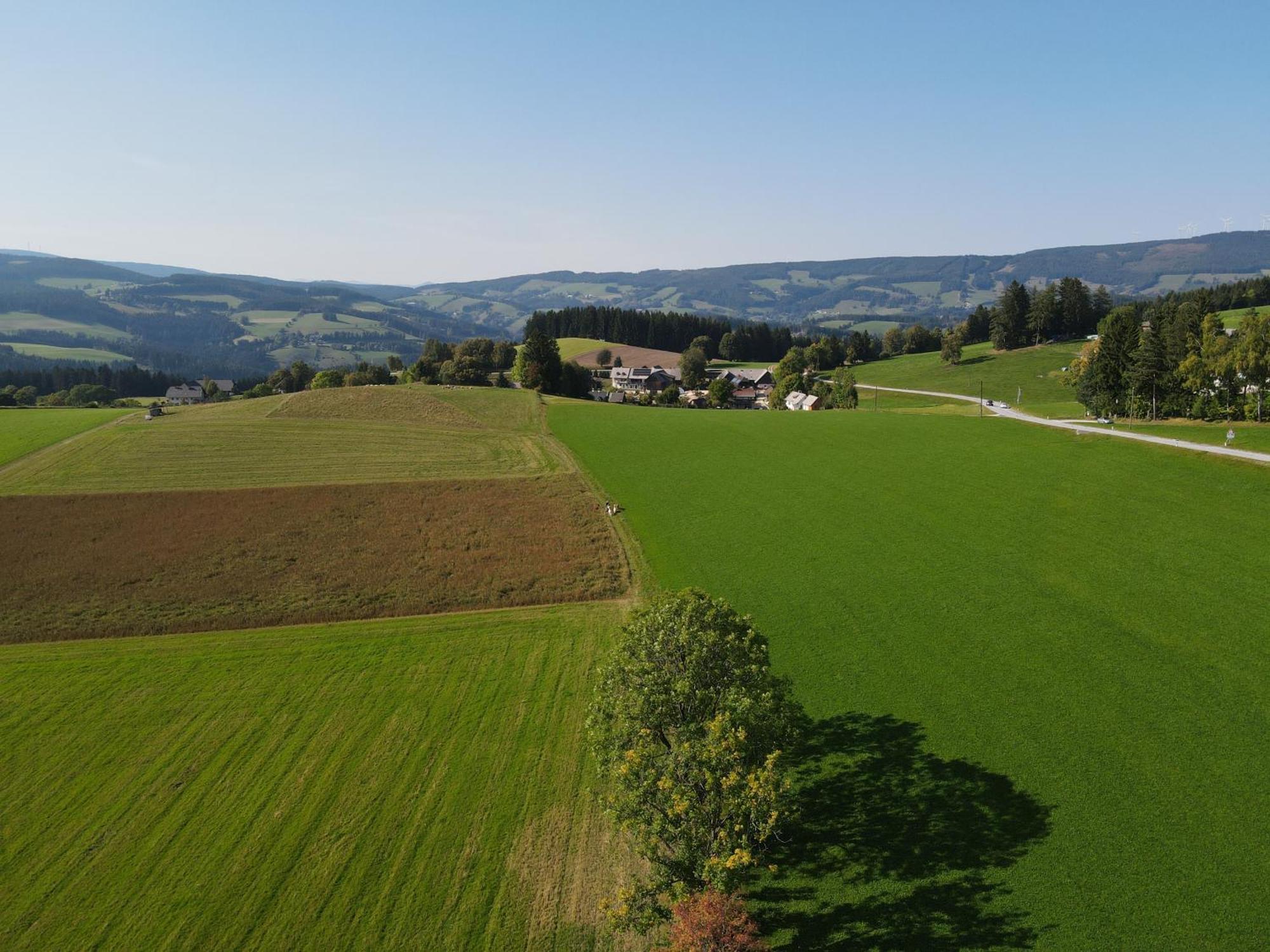 Biohof Kroisleitner Sankt Jakob im Walde Exteriör bild