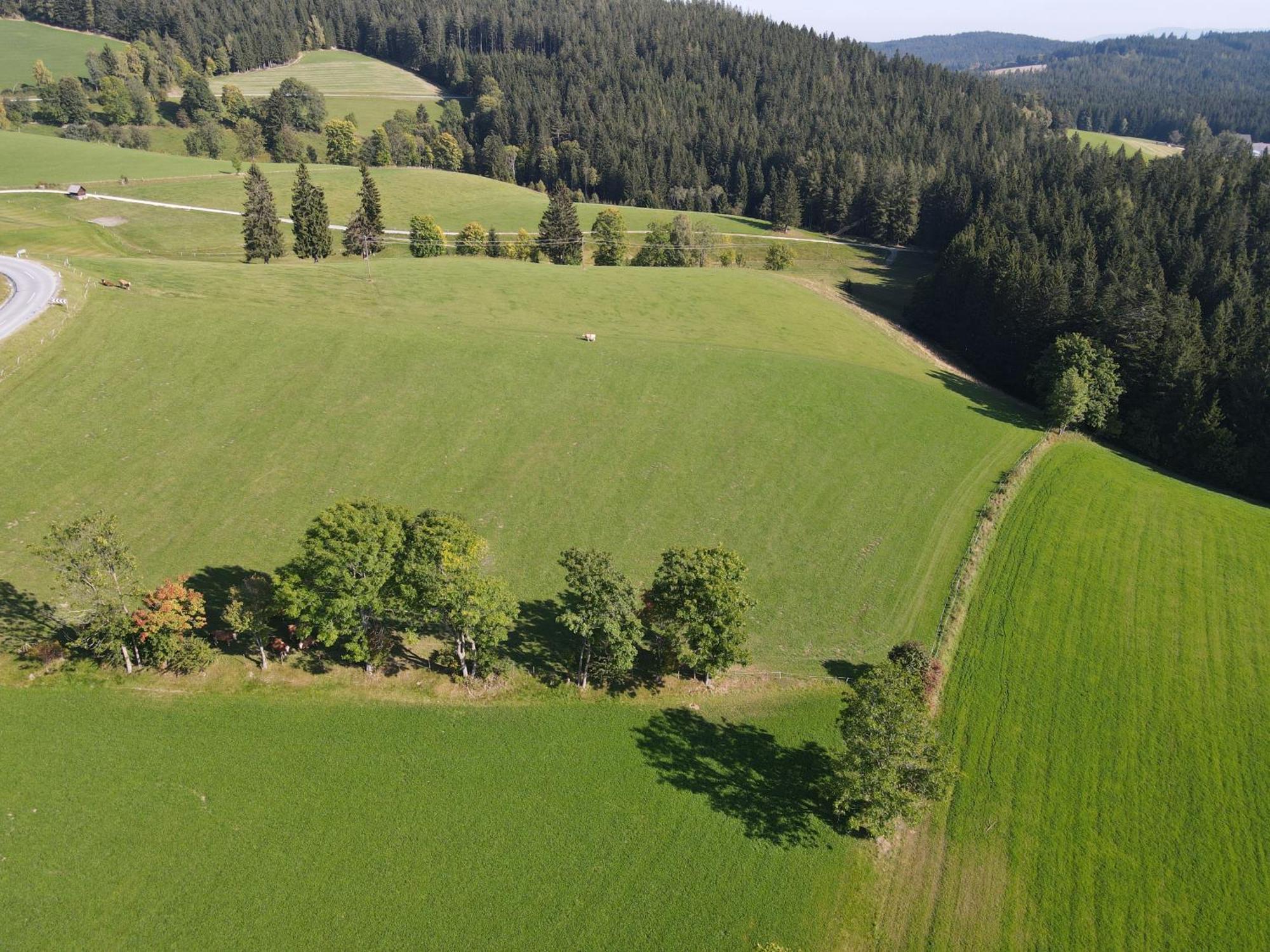 Biohof Kroisleitner Sankt Jakob im Walde Exteriör bild