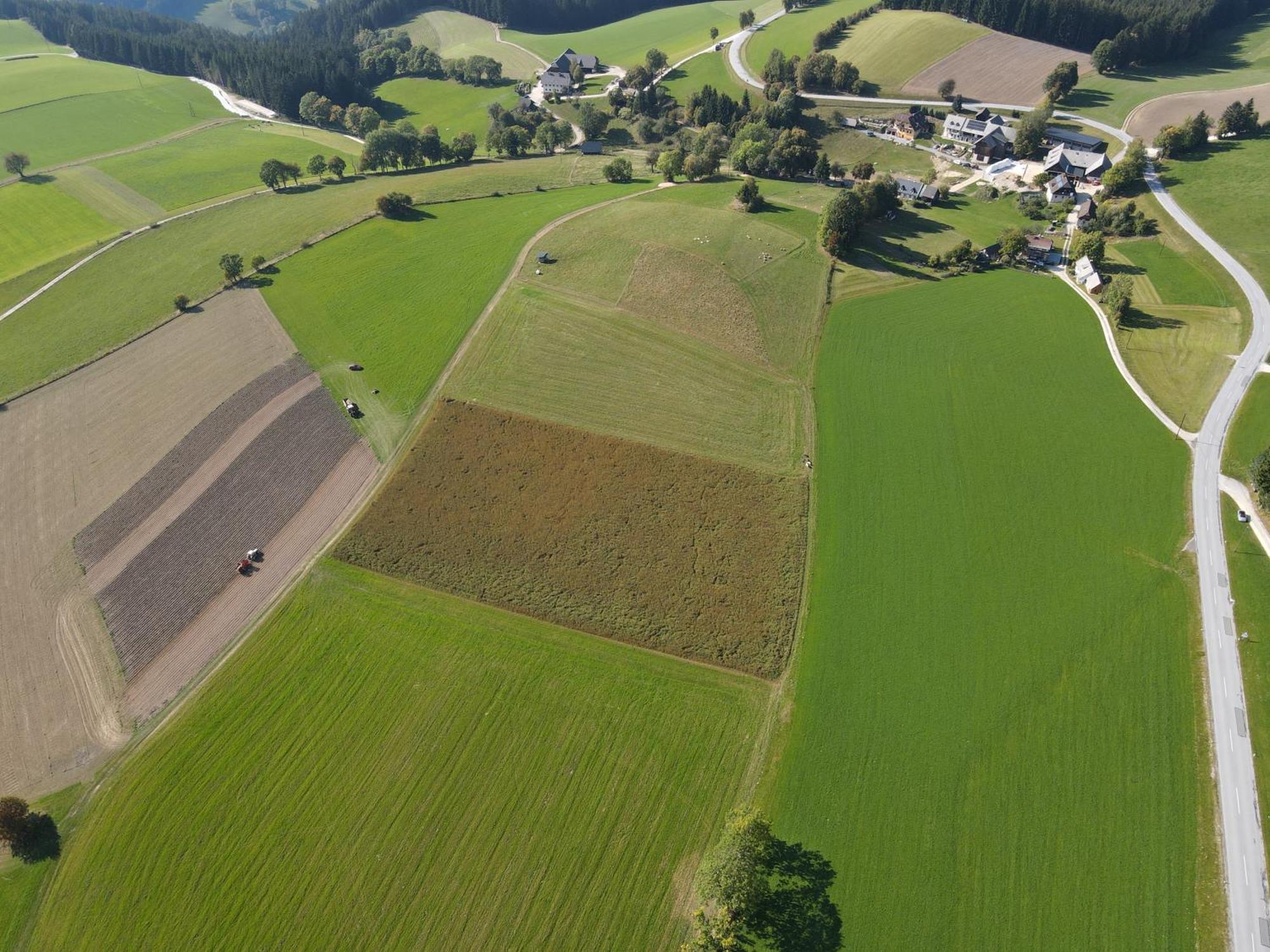 Biohof Kroisleitner Sankt Jakob im Walde Exteriör bild