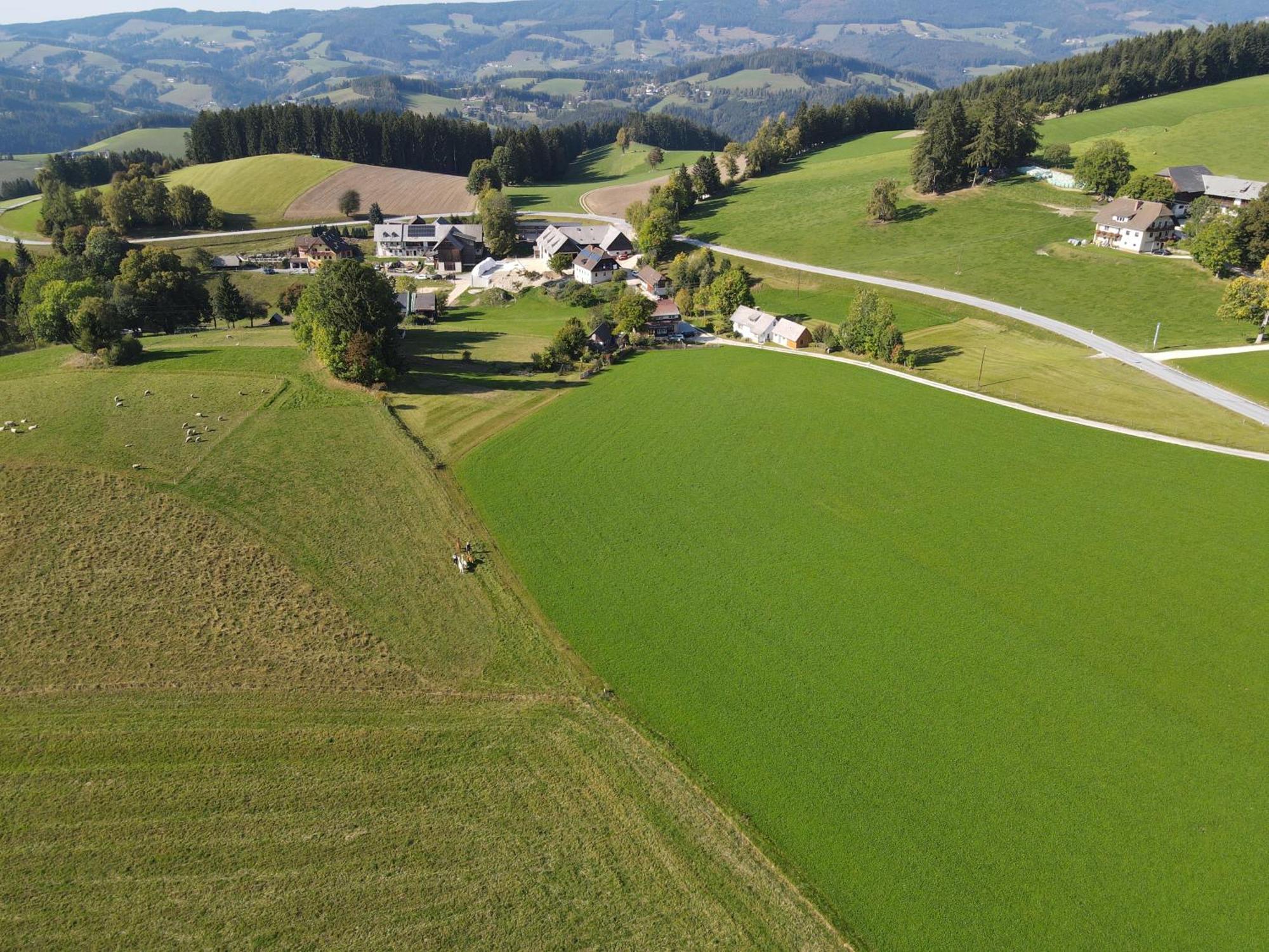 Biohof Kroisleitner Sankt Jakob im Walde Exteriör bild