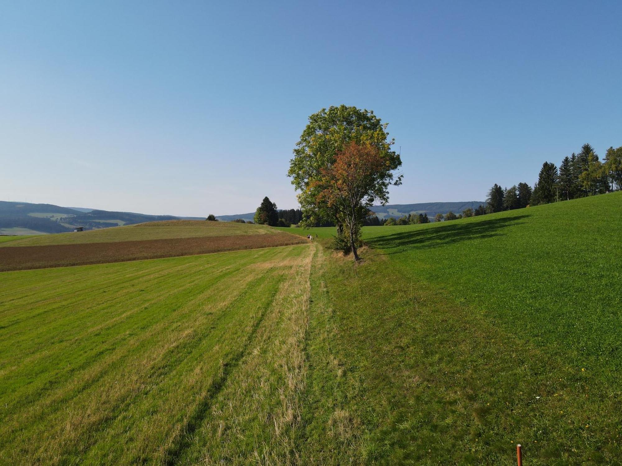Biohof Kroisleitner Sankt Jakob im Walde Exteriör bild