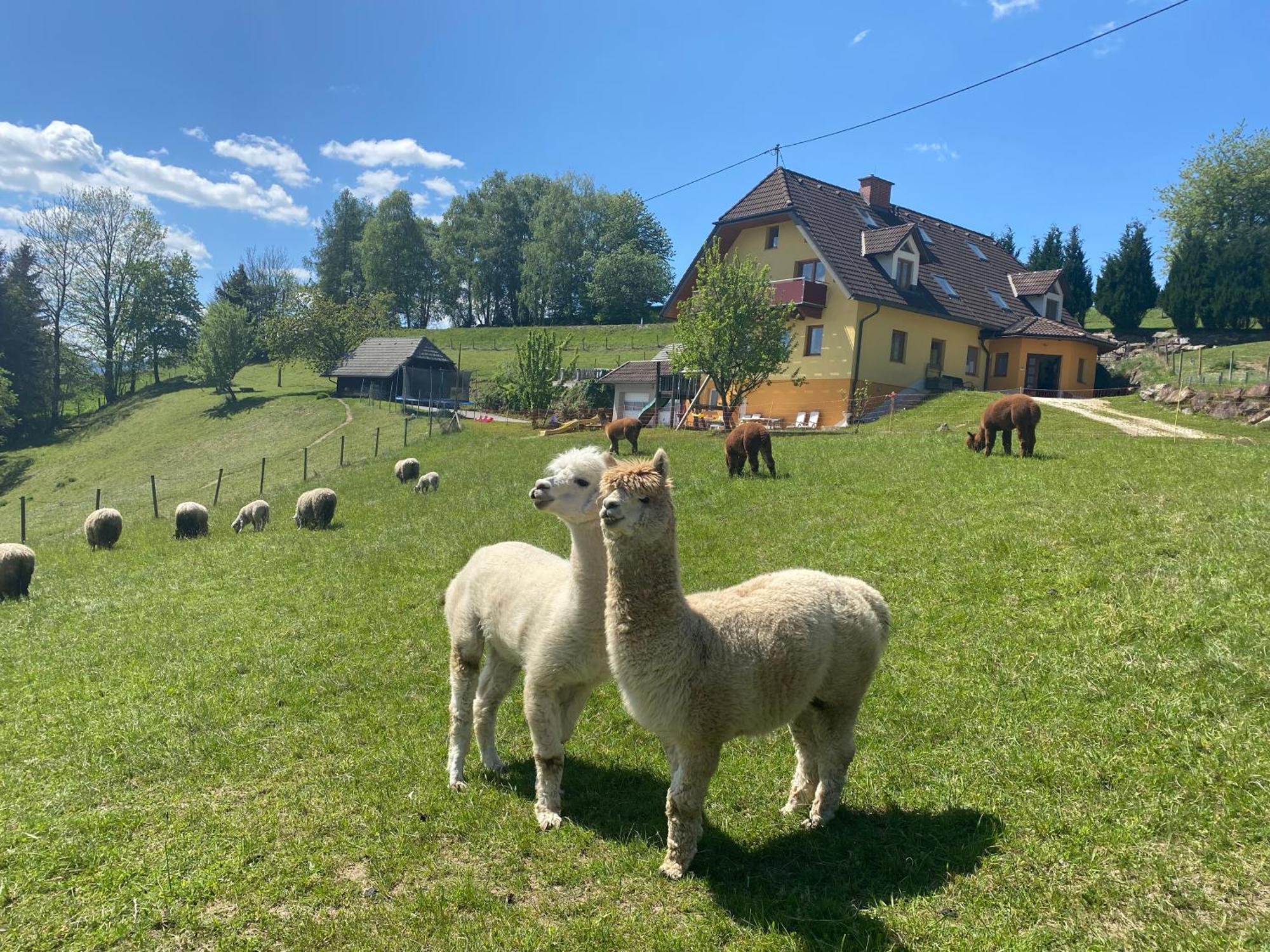 Biohof Kroisleitner Sankt Jakob im Walde Exteriör bild